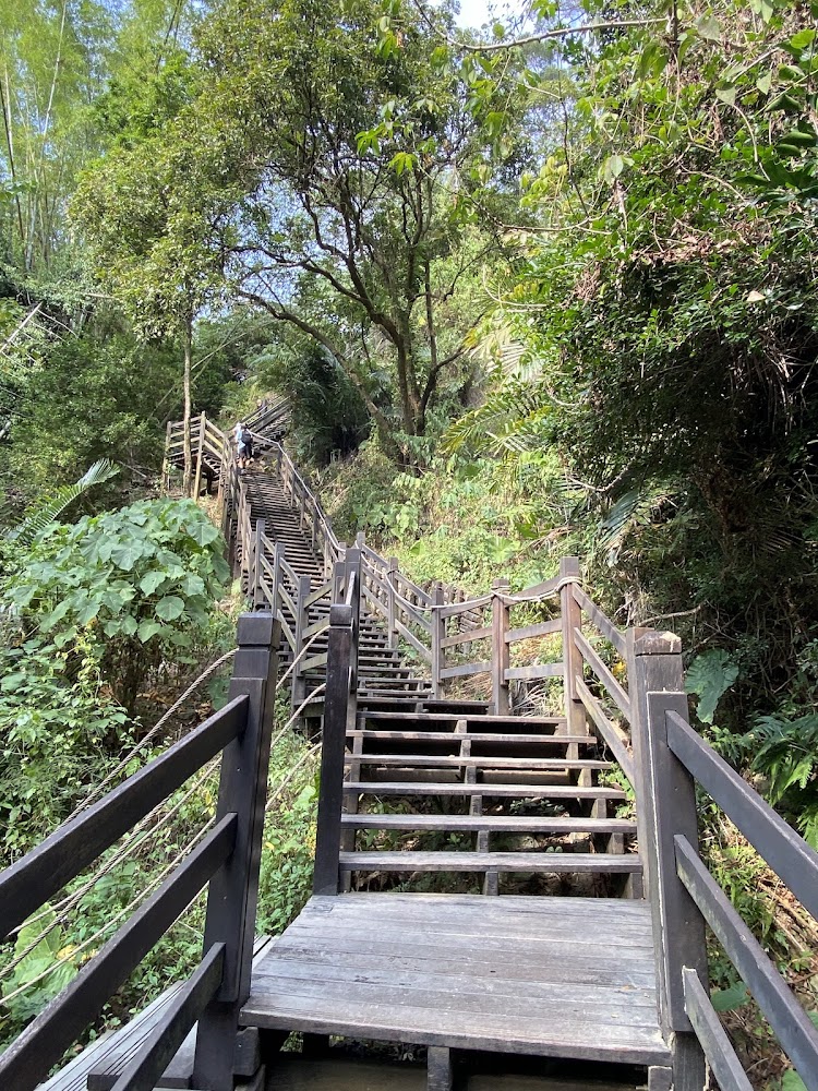 大坑步道必遊景點指南｜探尋台中隱藏的自然寶藏