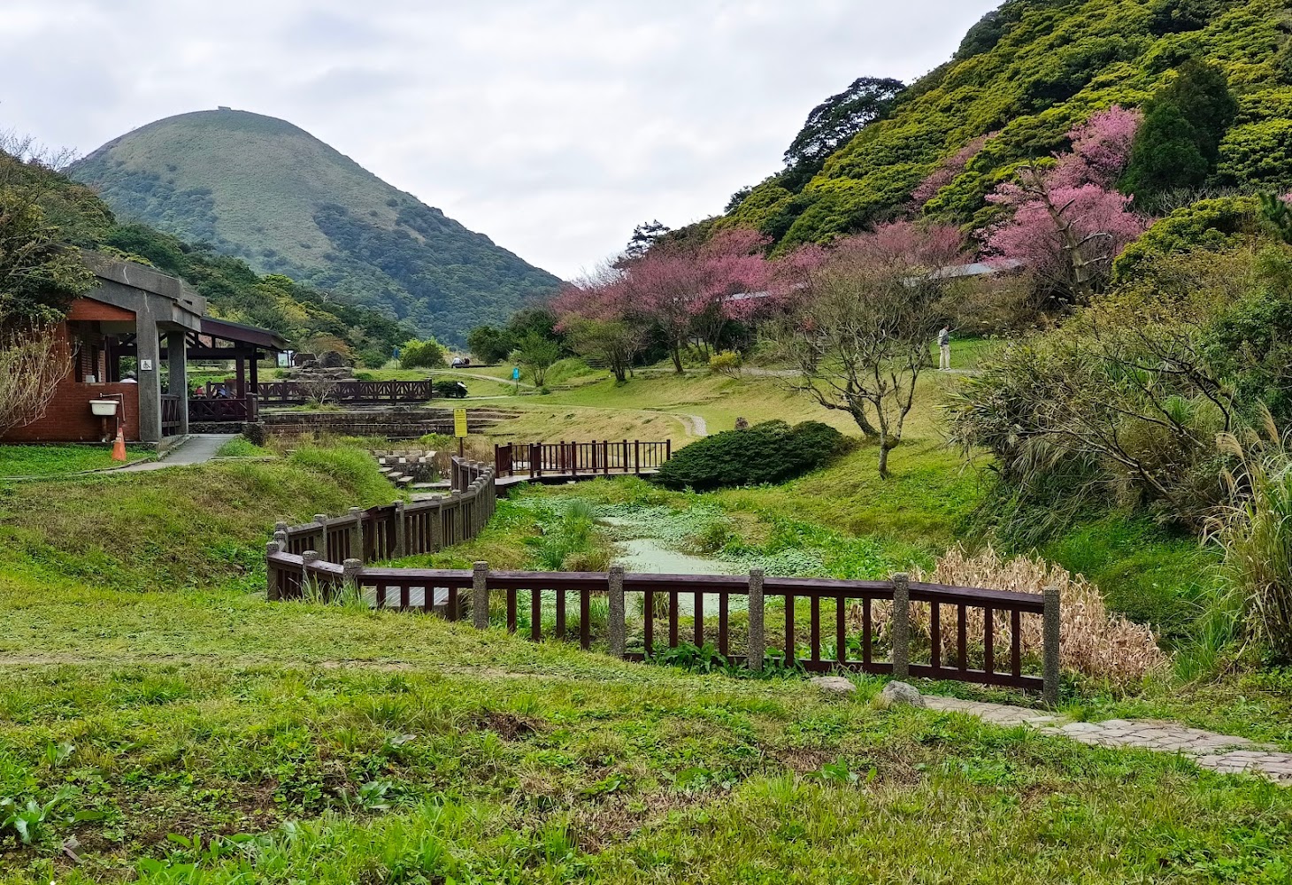【2025】二子坪必遊懶人包｜避開旅遊陷阱，讓你的旅行更無憂