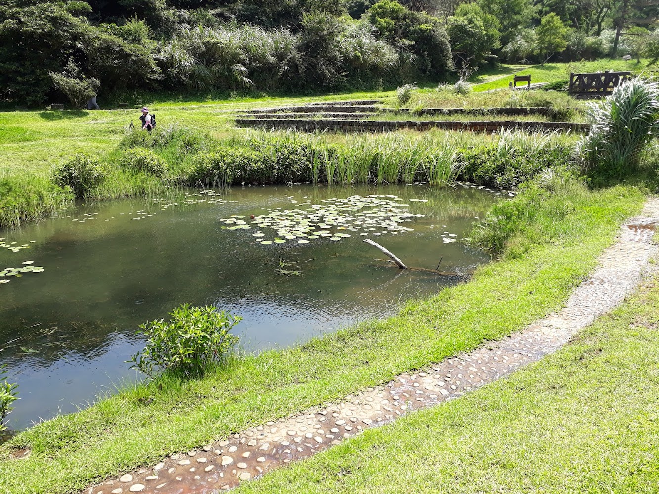 二子坪步道：你絕不能錯過的絕美景點