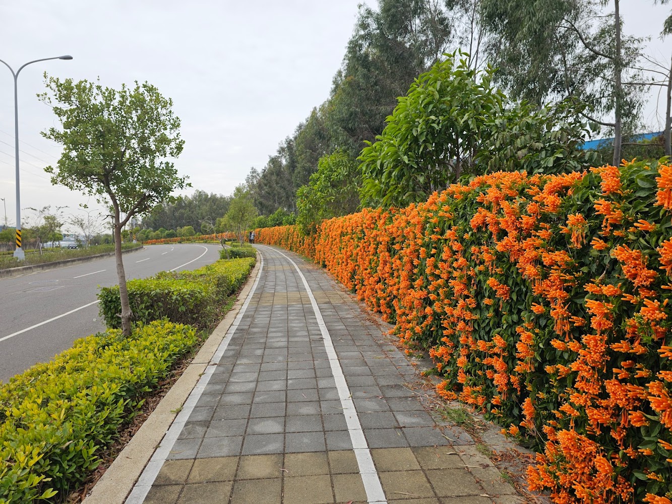 【2025】櫻花季必去的5大祕境|絕對不能錯過的景點推薦