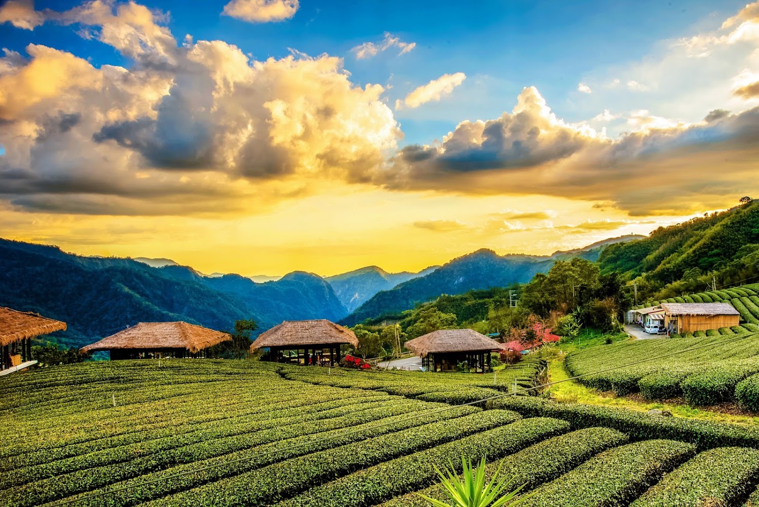 【2025】嘉義必去景點推薦|避開觀光陷阱的秘訣