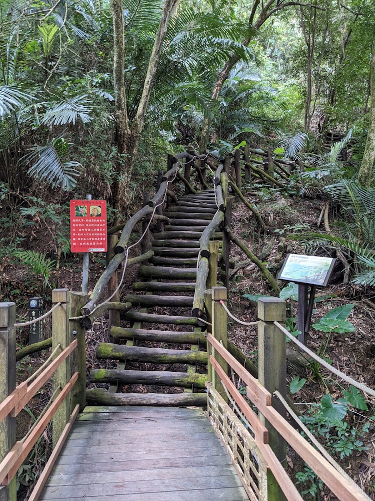 大坑步道必遊景點指南｜探尋台中隱藏的自然寶藏