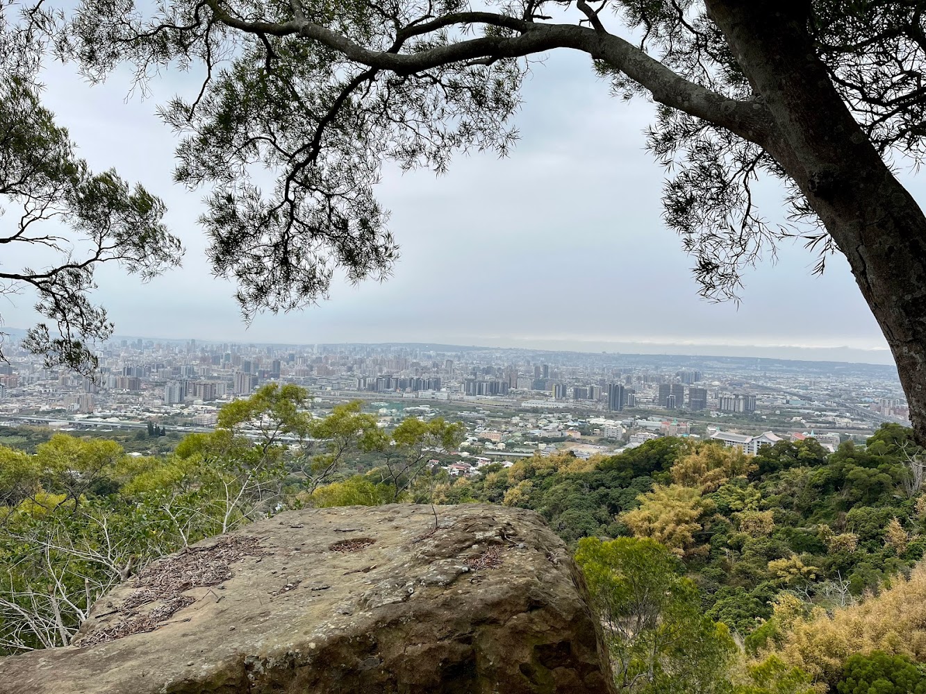 大坑步道必遊景點指南｜探尋台中隱藏的自然寶藏
