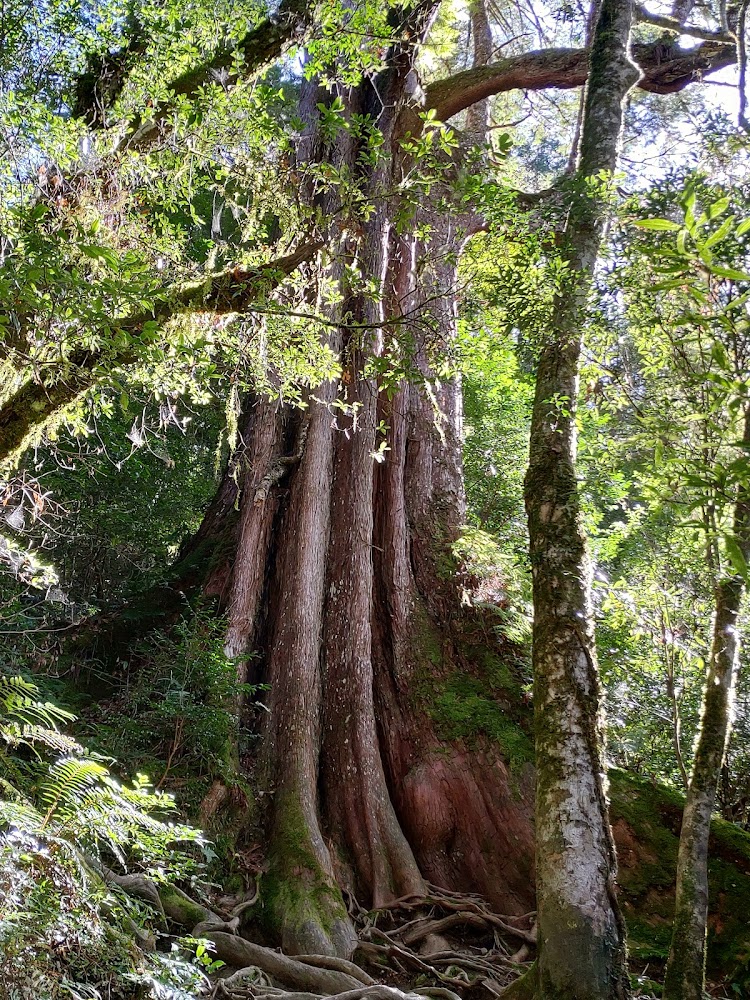 新竹秘境：你從未聽說過的探索景點