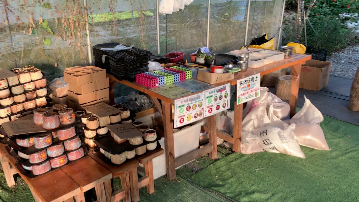 【2025】埔里景點推薦｜避開遊客潮的秘境之旅