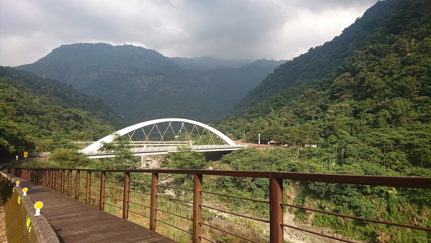 阿里山小火車絕美旅程：避開常見旅遊陷阱的秘訣