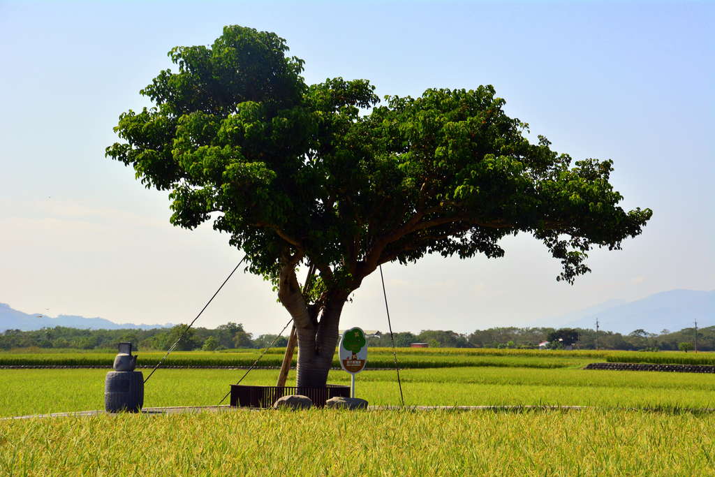 伯朗大道周邊地標