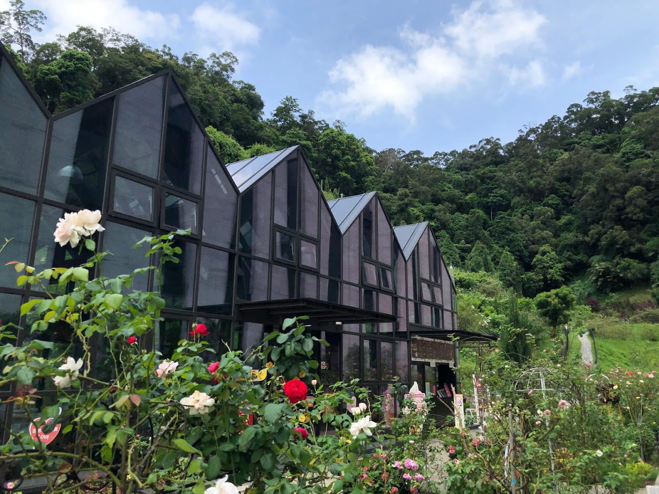 揭開苗栗免費景點的神秘面紗：不可錯過的旅遊秘境