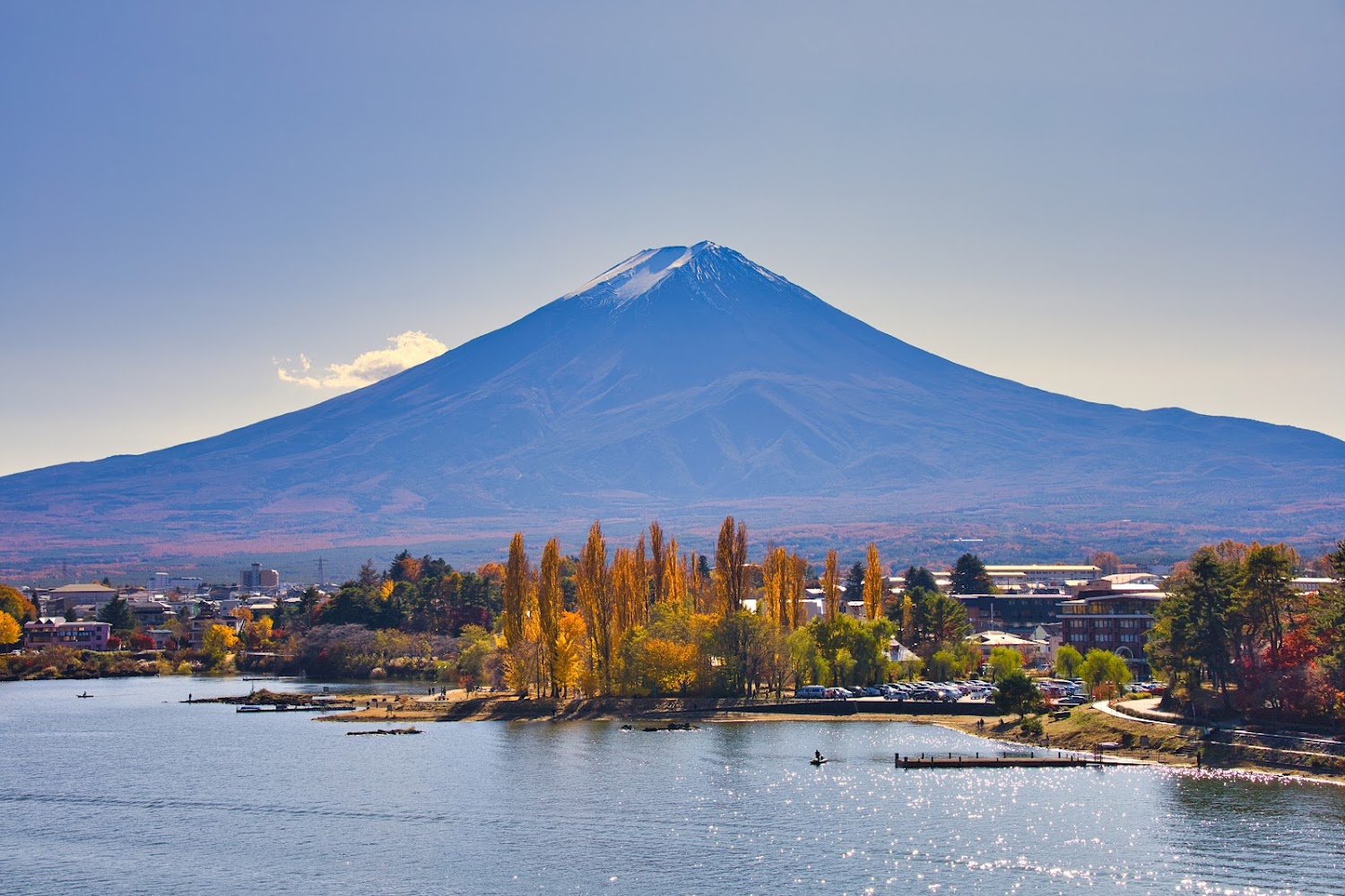 2025年櫻花季旅遊指南｜5個必訪景點與避開人潮的小秘訣