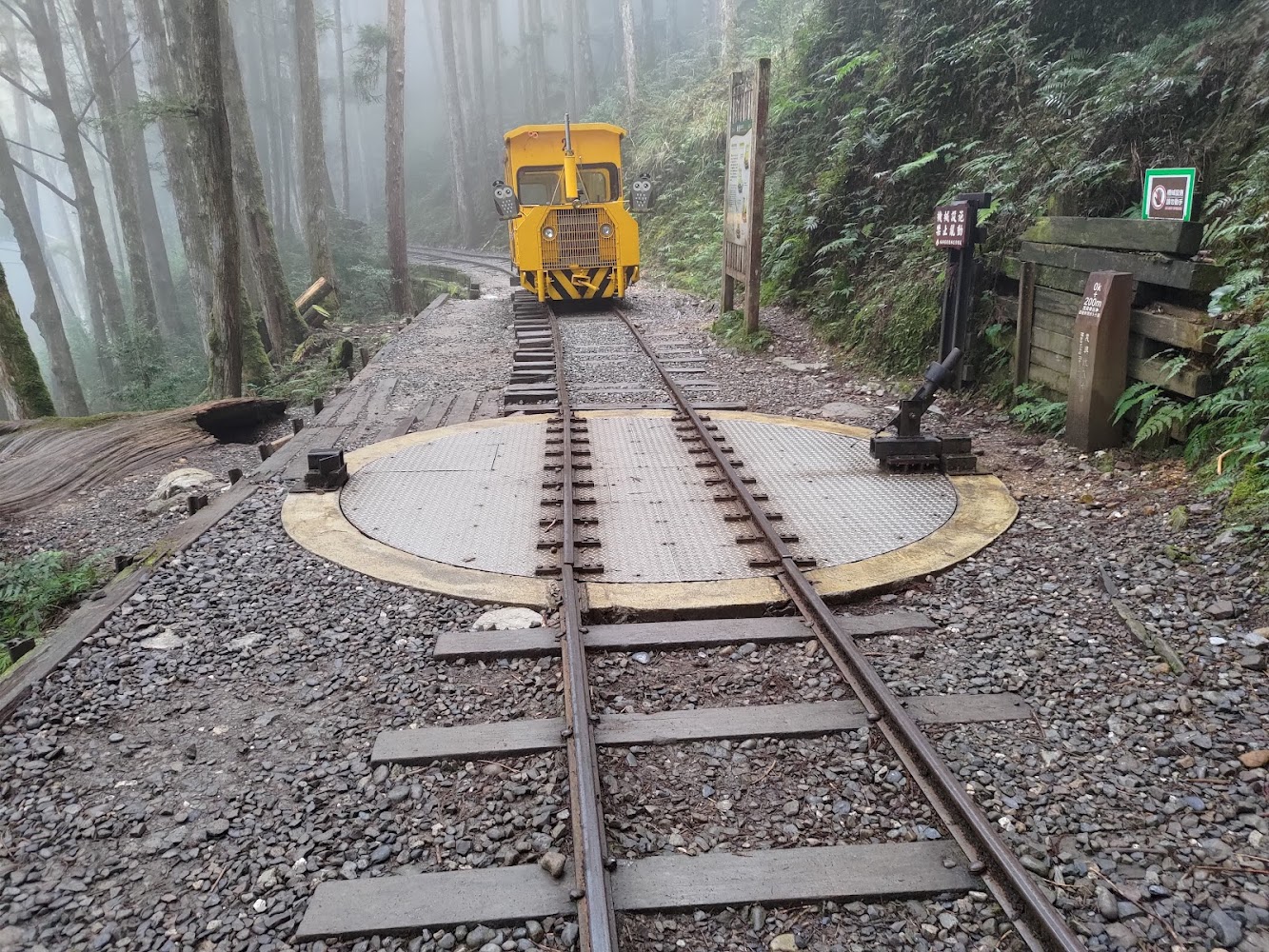 探索太平山的魅力｜必訪景點及交通指南