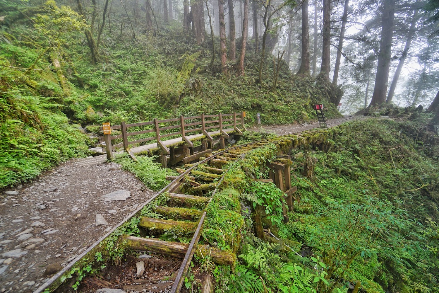 【2025】太平山莊旅遊攻略：避開人潮的秘密景點