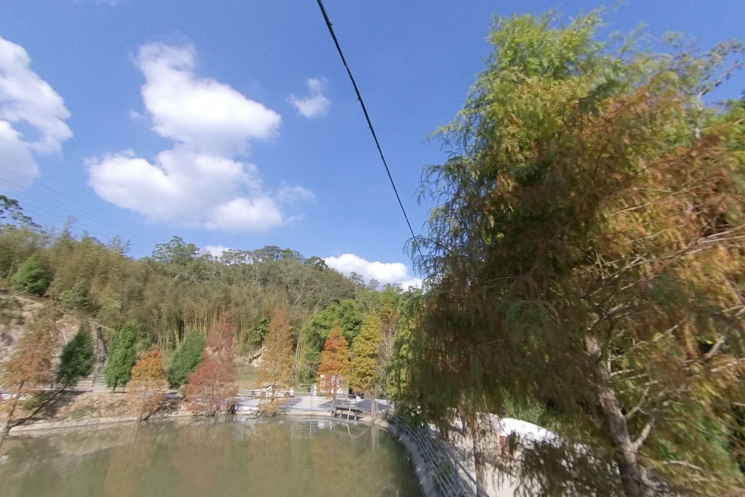 三灣落羽松旅遊攻略｜2025年必訪秘境與不可錯過的景點