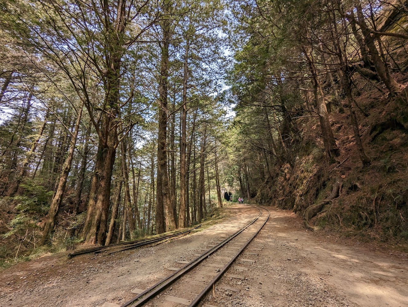 【2025】嘉義必去景點推薦|避開觀光陷阱的秘訣