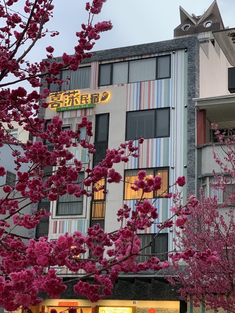 日月潭住宿推薦：避開常見雷區的選擇