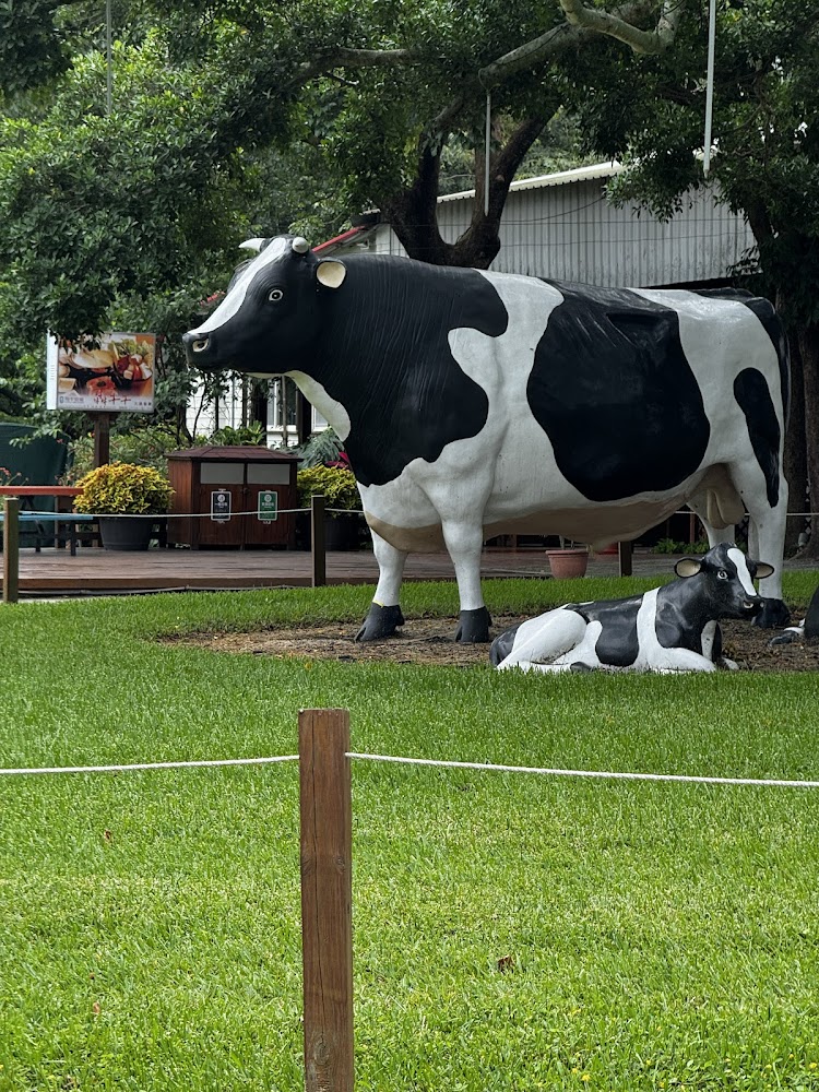 飛牛牧場