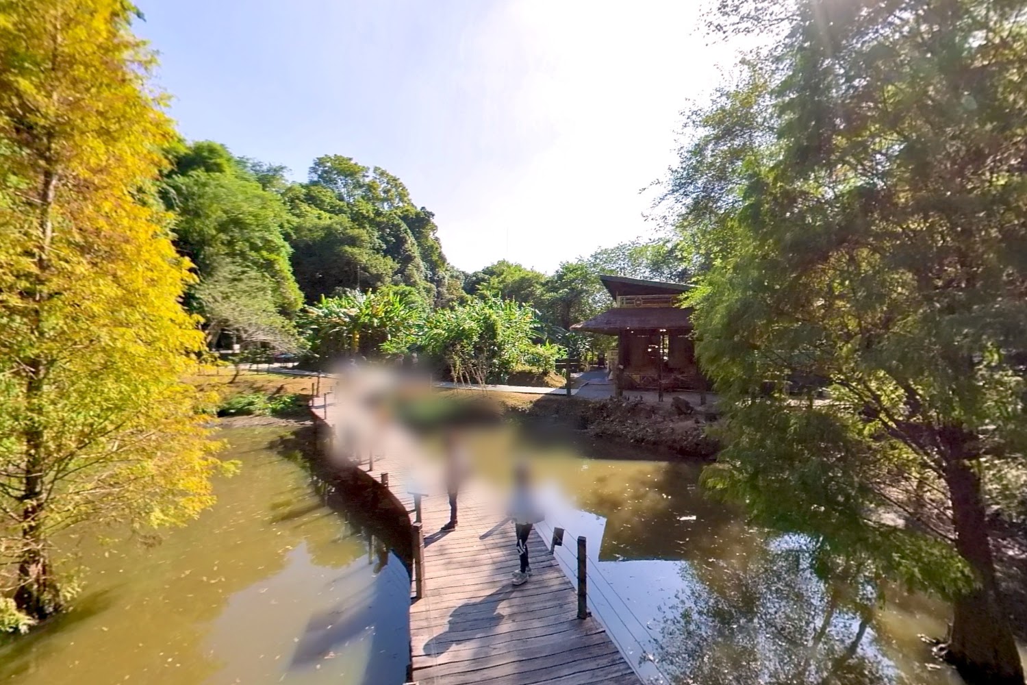 綠世界旅遊指南|探索自然奧秘的必訪景點