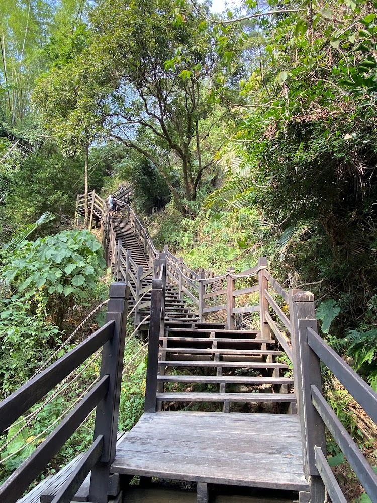 大坑步道必去景點：避免這常見錯誤，讓你的旅程更順利