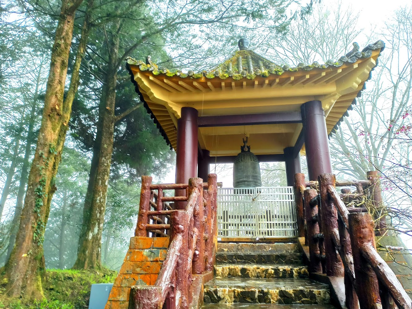 阿里山必遊景點推薦｜避開人潮的隱藏秘境