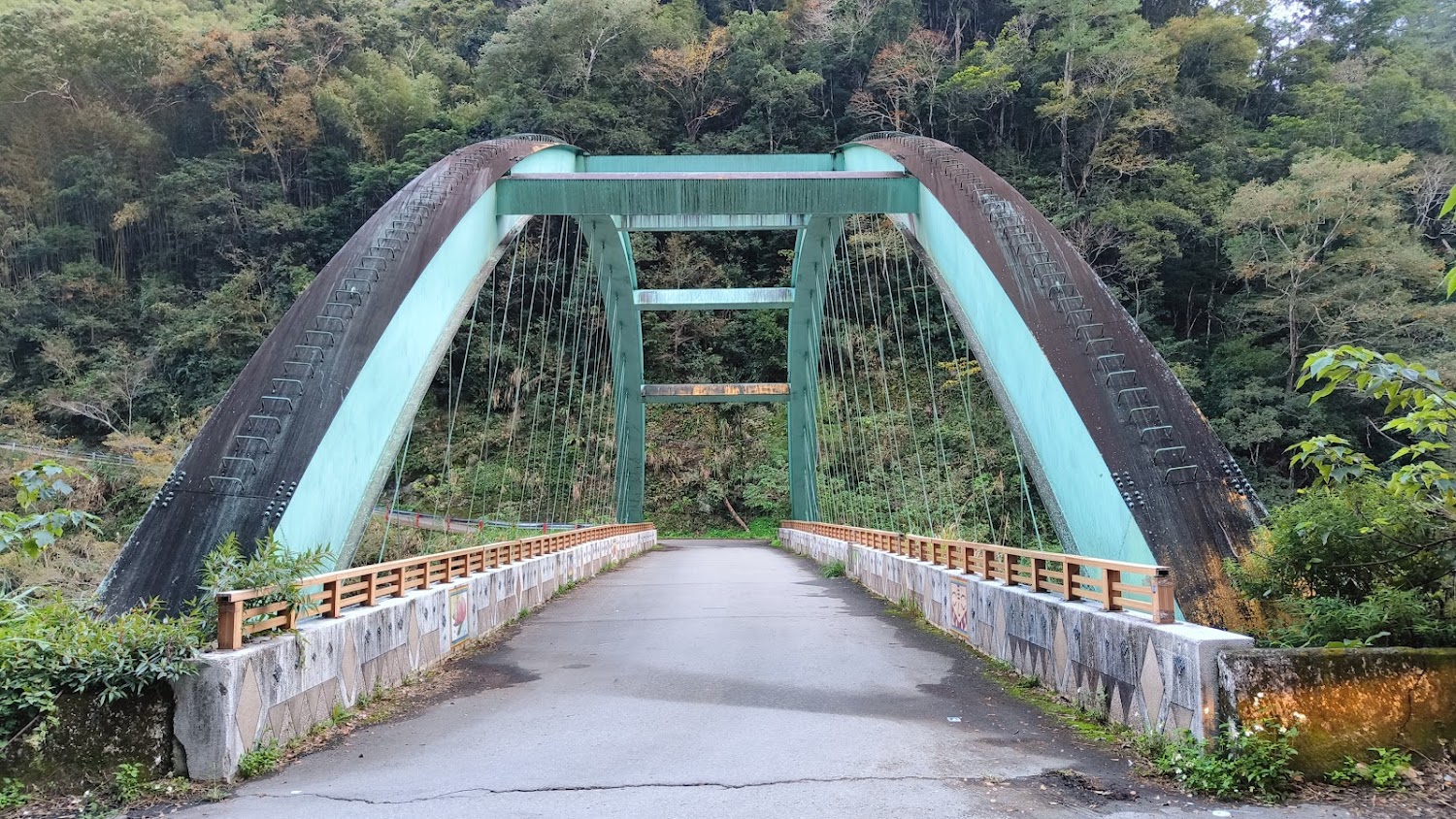 2025司馬庫斯旅遊攻略｜必去景點推薦