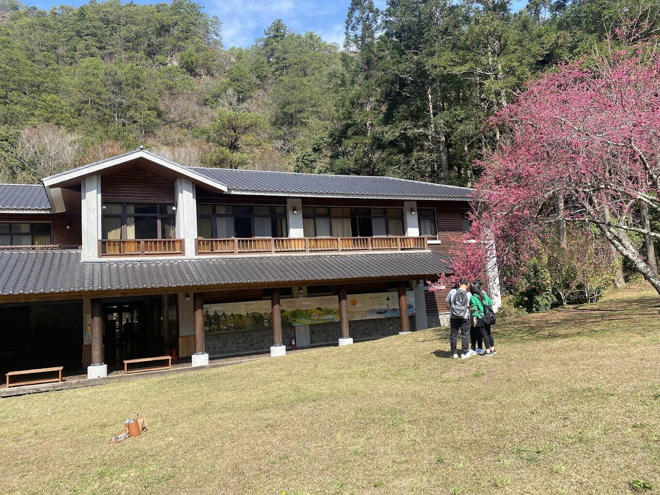 櫻花季必訪景點推薦