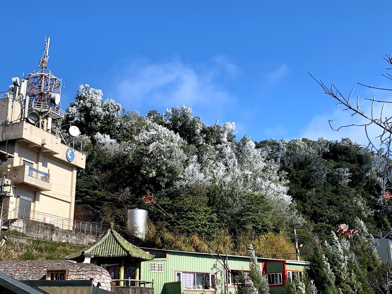 【2025】司馬庫斯旅遊攻略：必去景點推薦