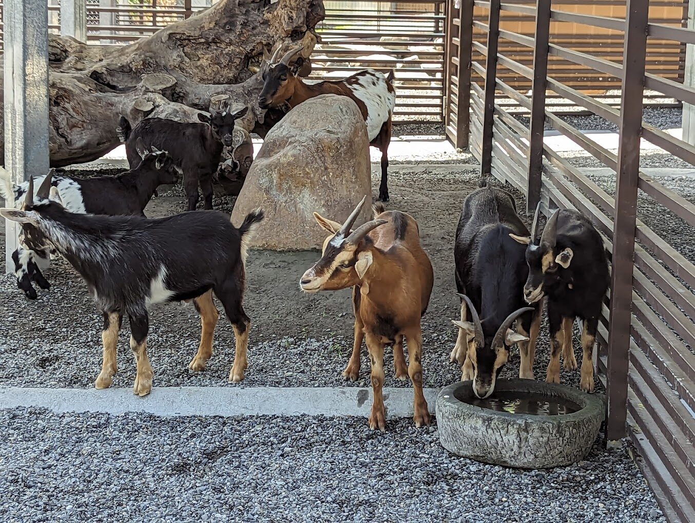 宜蘭親子農場：與孩子共度美好時光的最佳去處