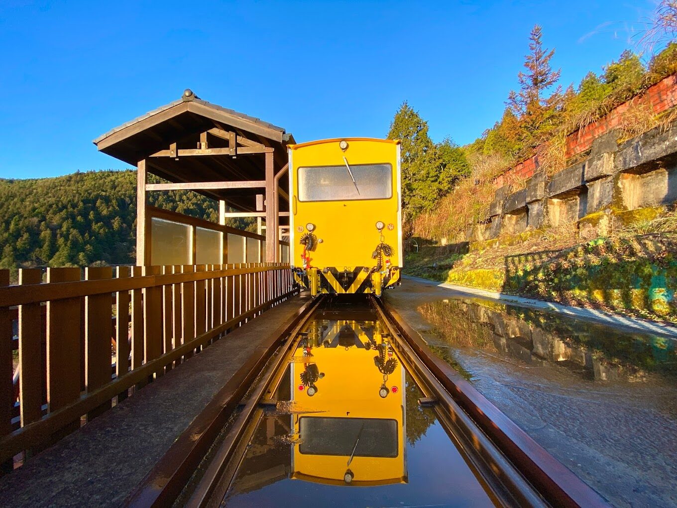 太平山國家森林遊樂區攻略:必遊景點與活動介紹