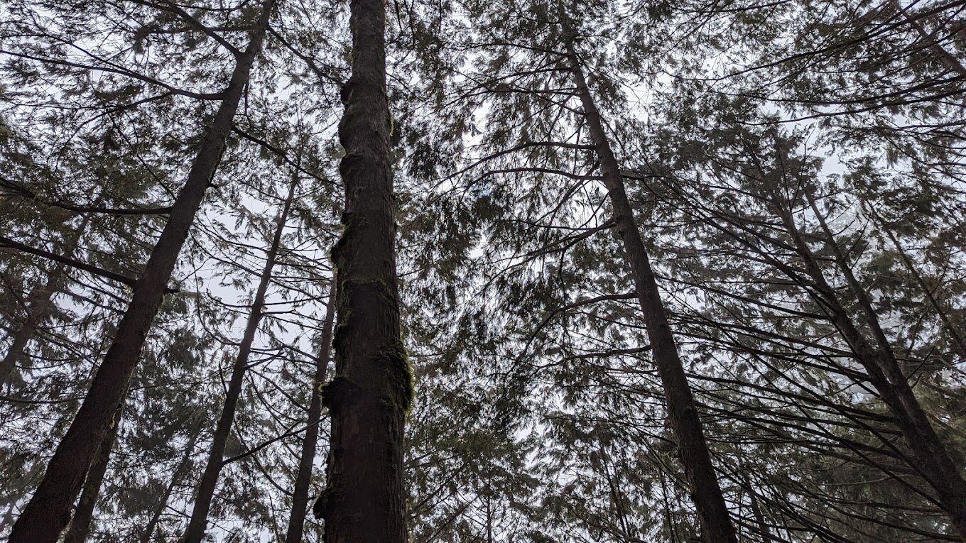 宜蘭秘境景點推薦：避開人潮的私房景點