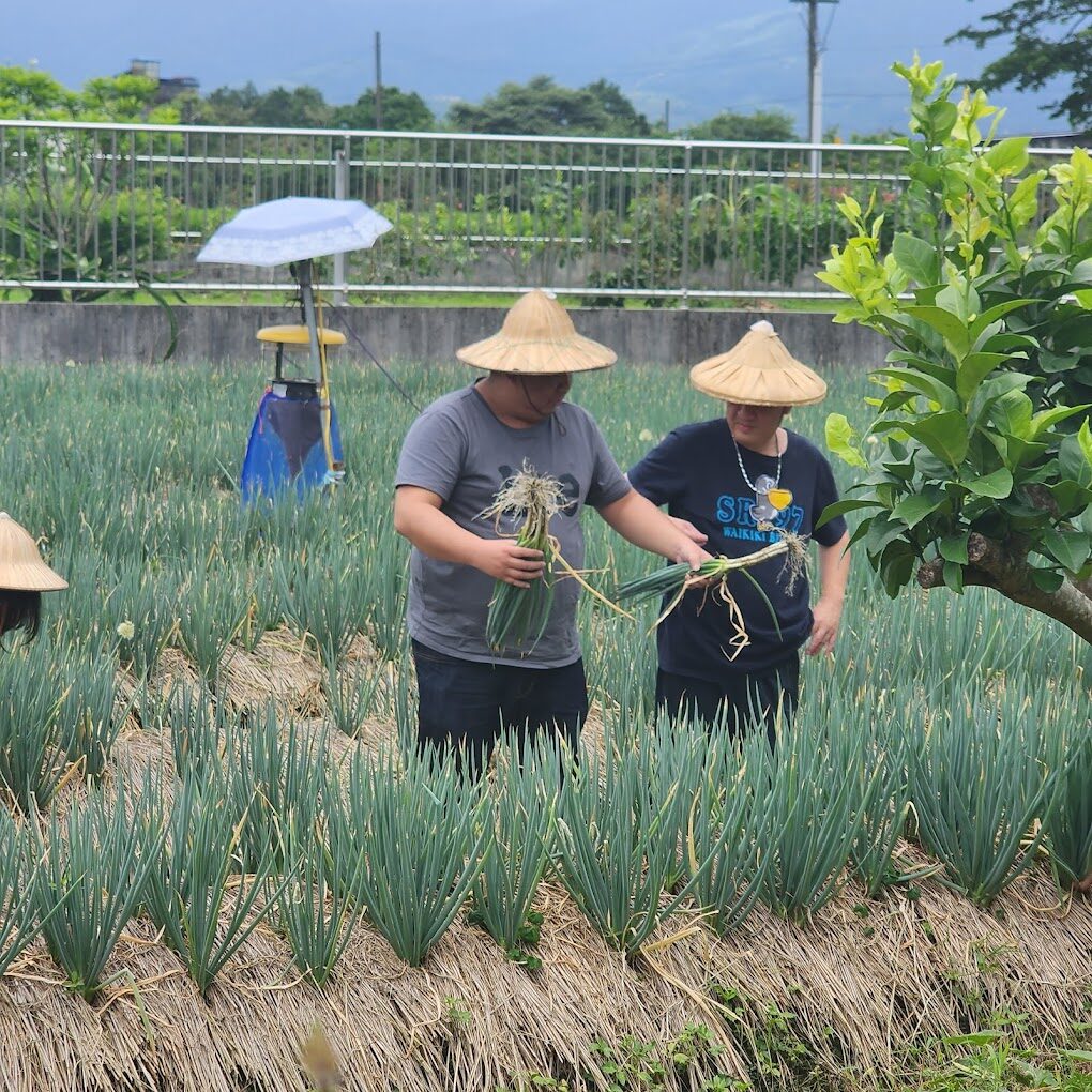 宜蘭親子農場：與孩子共度美好時光的最佳去處