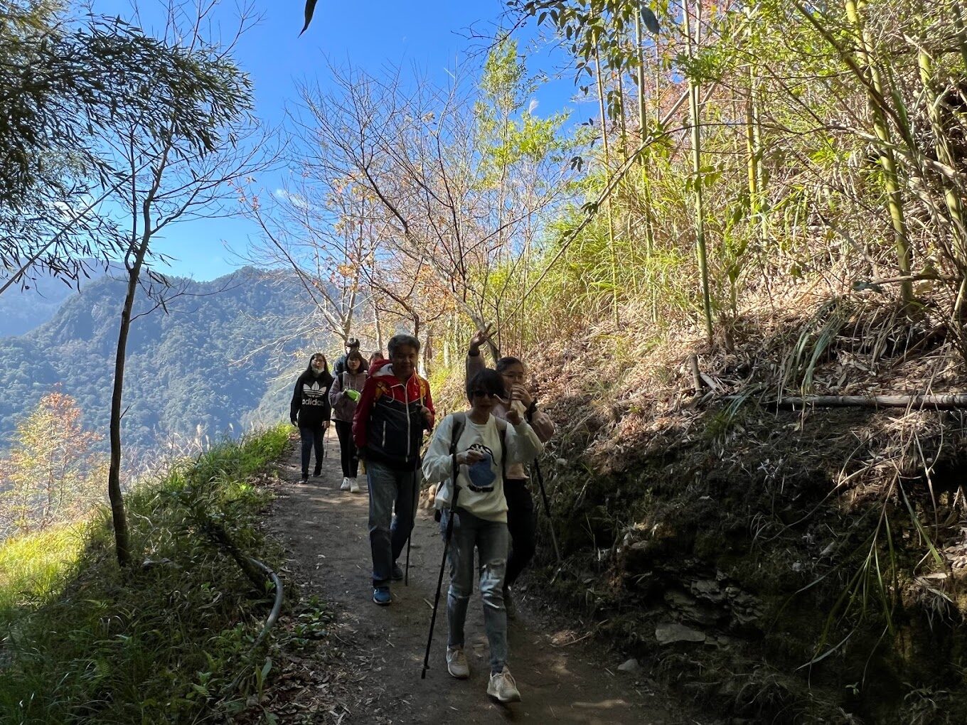 司馬庫斯兩天一夜：避開這些錯誤，打造完美的山地旅遊體驗
