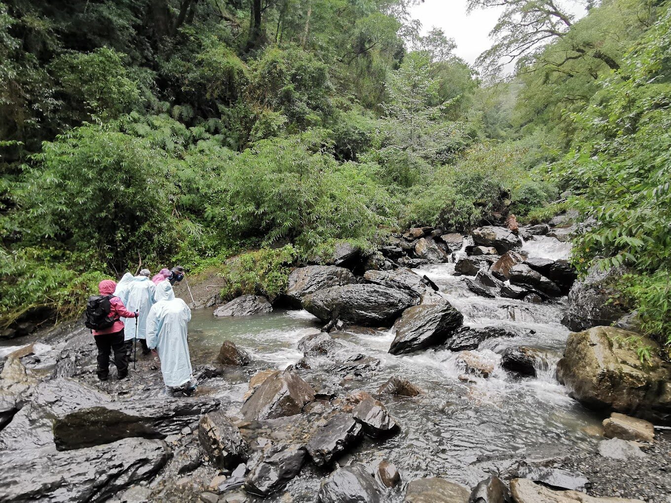 司馬庫斯一日遊｜避免錯過的絕美景點
