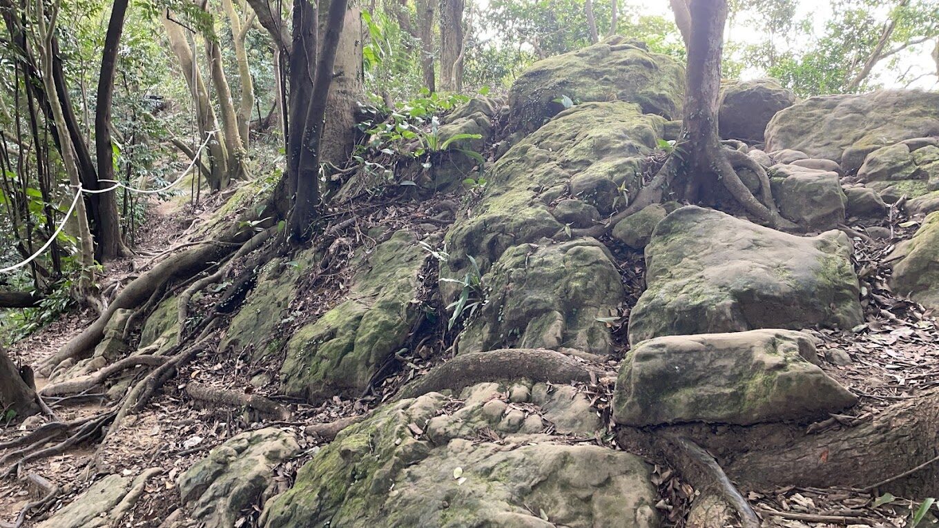 三峽景點必游攻略：解密絕不可錯過的五大景點