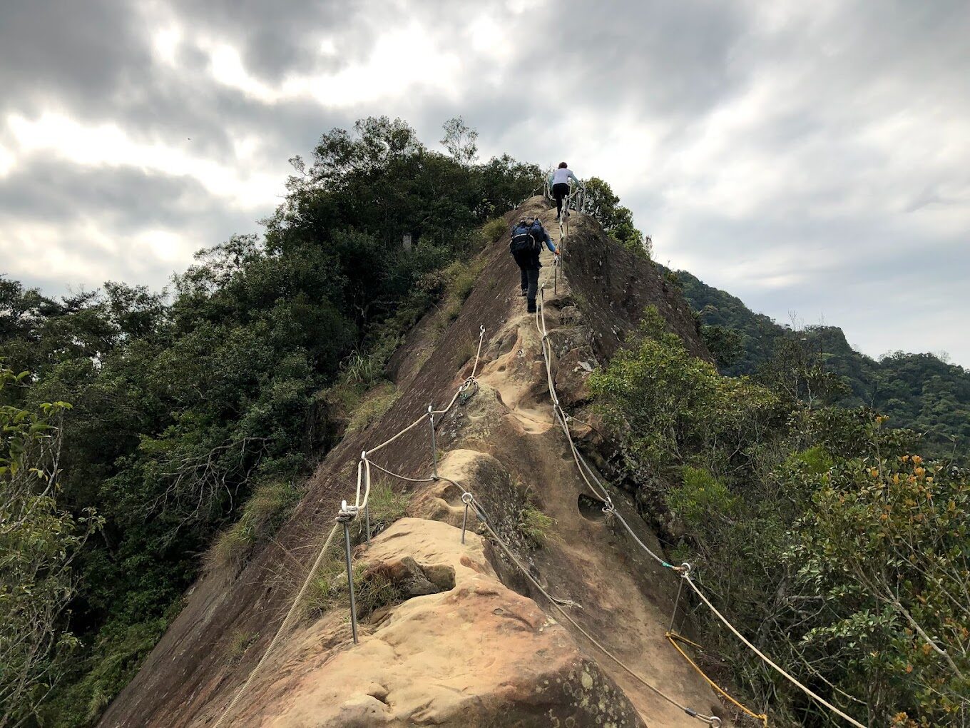 三峽景點必游攻略：解密絕不可錯過的五大景點