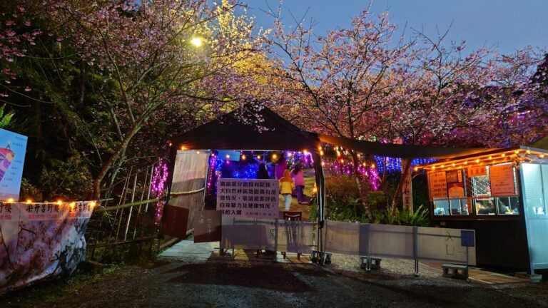 大熊櫻花林必遊景點｜2025年最佳賞櫻指南