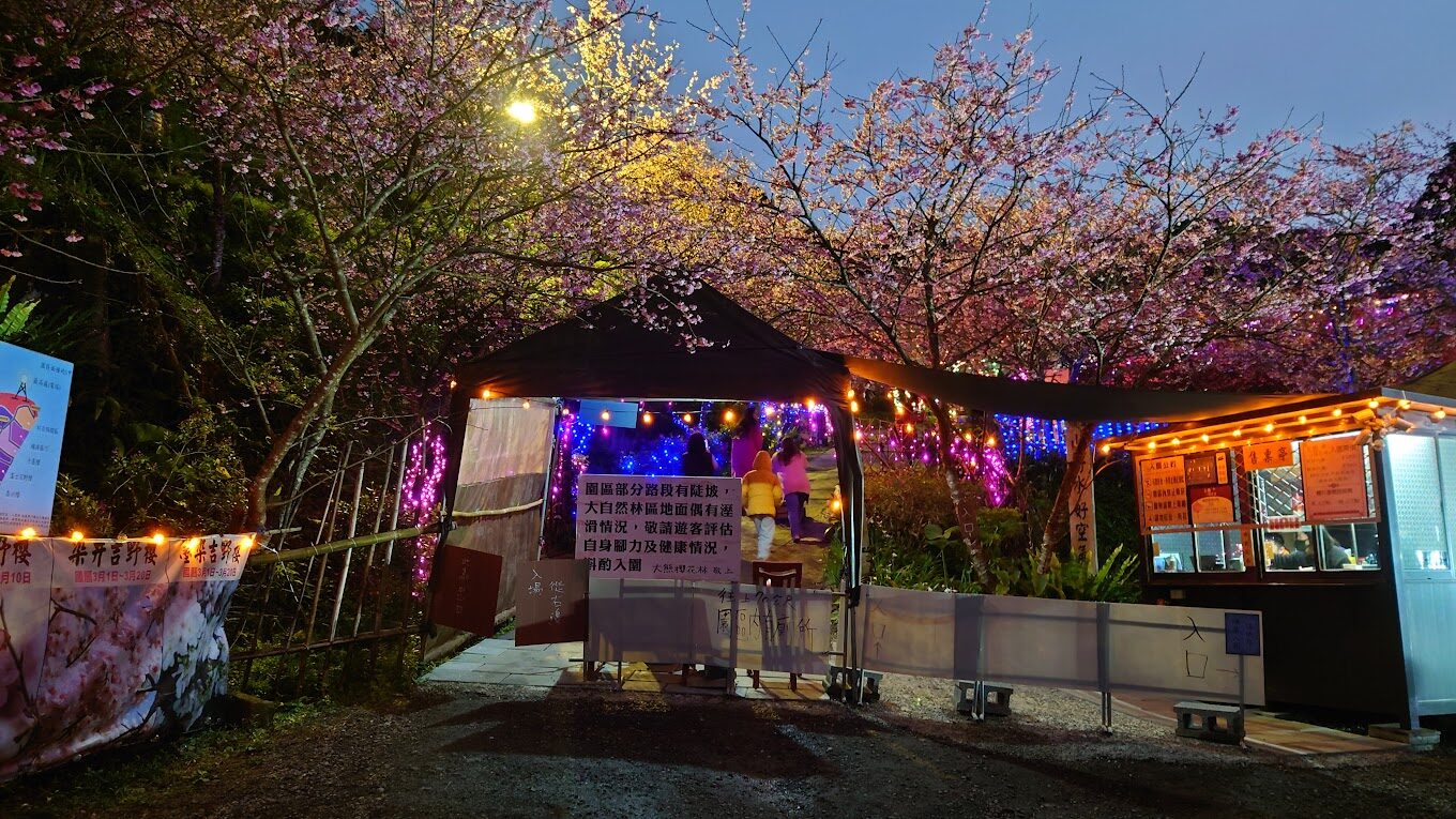 大熊櫻花林必遊景點｜2025年最佳賞櫻指南