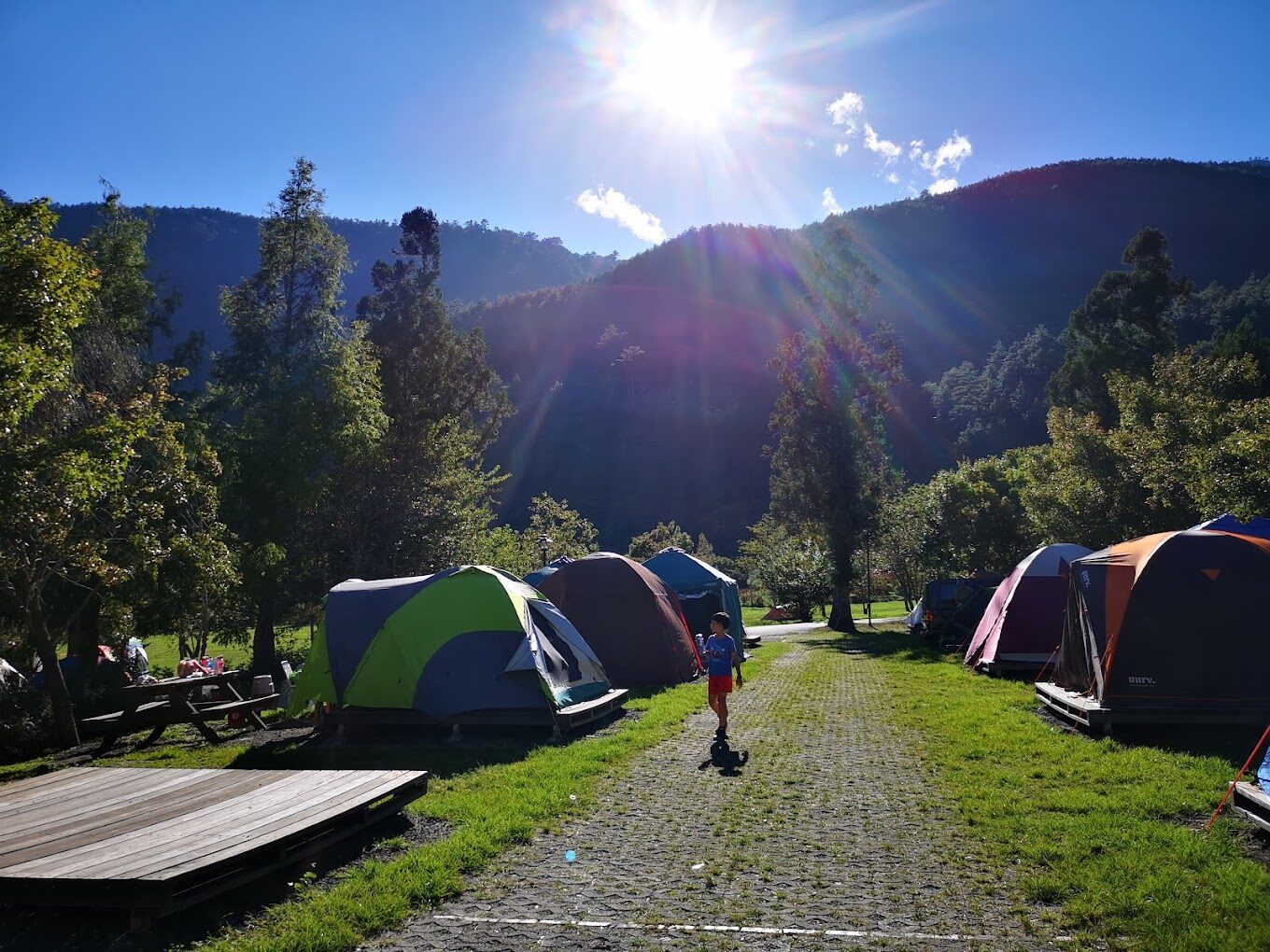 武陵農場旅遊指南｜必訪景點及最佳賞楓、賞櫻、賞梅時間