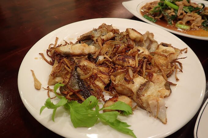 泰安溫泉旅遊必做的5件事｜輕鬆享受自然與文化之美