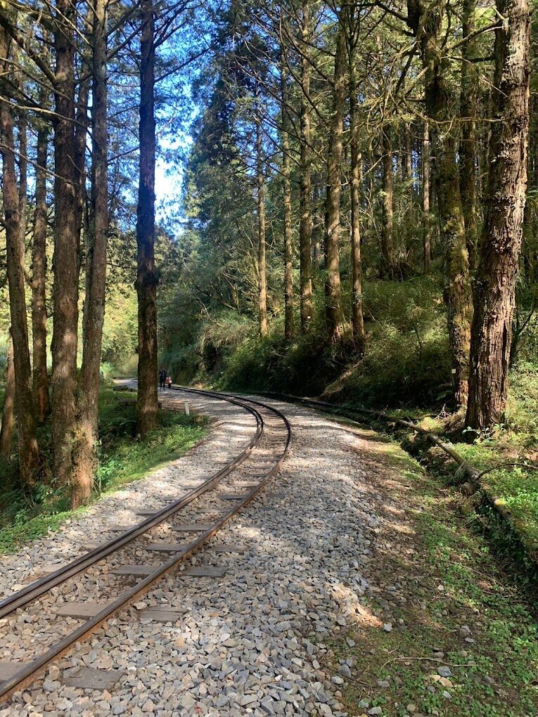 2025嘉義景點必去清單｜探索隱藏版絕美秘境