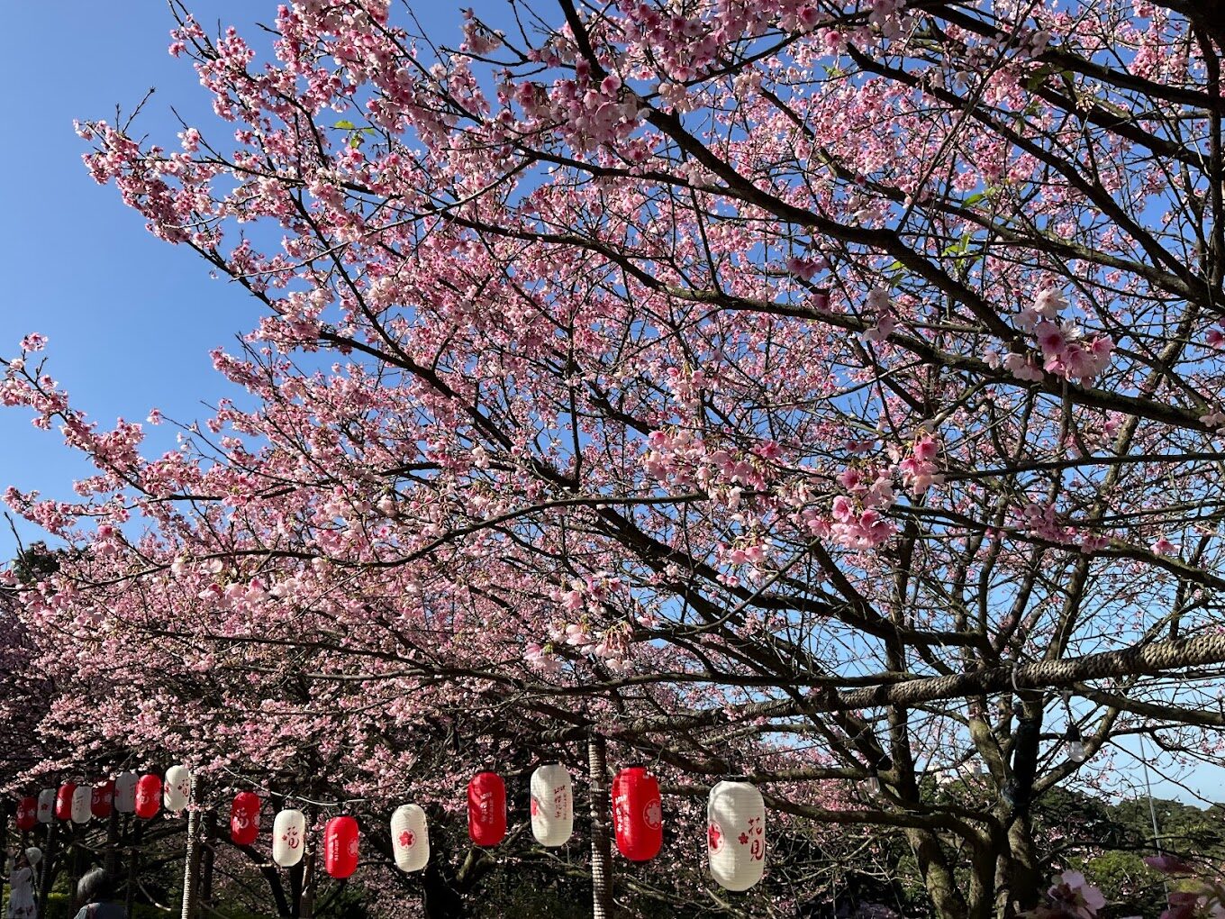 天元宮周邊的山林景色與寧靜的氛圍