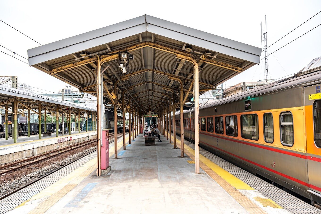 三灣落羽松旅遊攻略｜2025年必訪秘境與不可錯過的景點