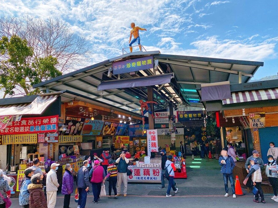 三灣落羽松旅遊攻略｜2025年必訪秘境與不可錯過的景點