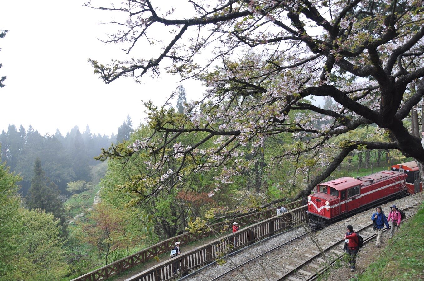 2025年嘉義必去景點推薦｜你絕不能錯過的絕美景點