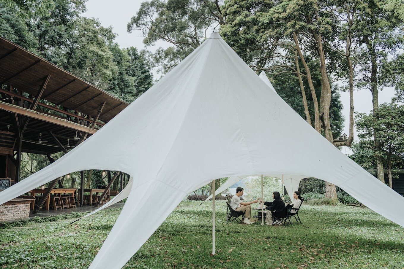 【2025】不得錯過的薰衣草森林新竹尖石店｜5大迷人特色揭秘