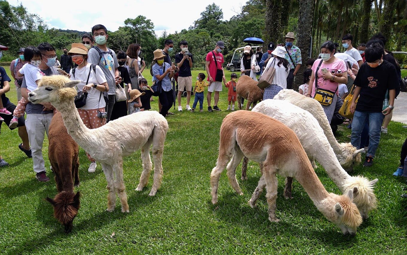 新竹景點必去推薦｜2025年最不可錯過的旅遊亮點