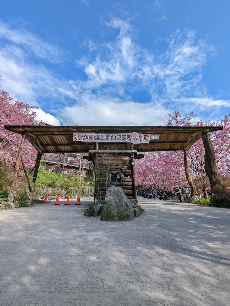 避免錯過司馬庫斯櫻花季的關鍵理由|2025旅遊必知