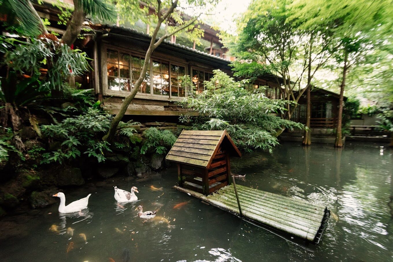 苗栗住宿推薦｜絕佳民宿讓你體驗不一樣的旅遊