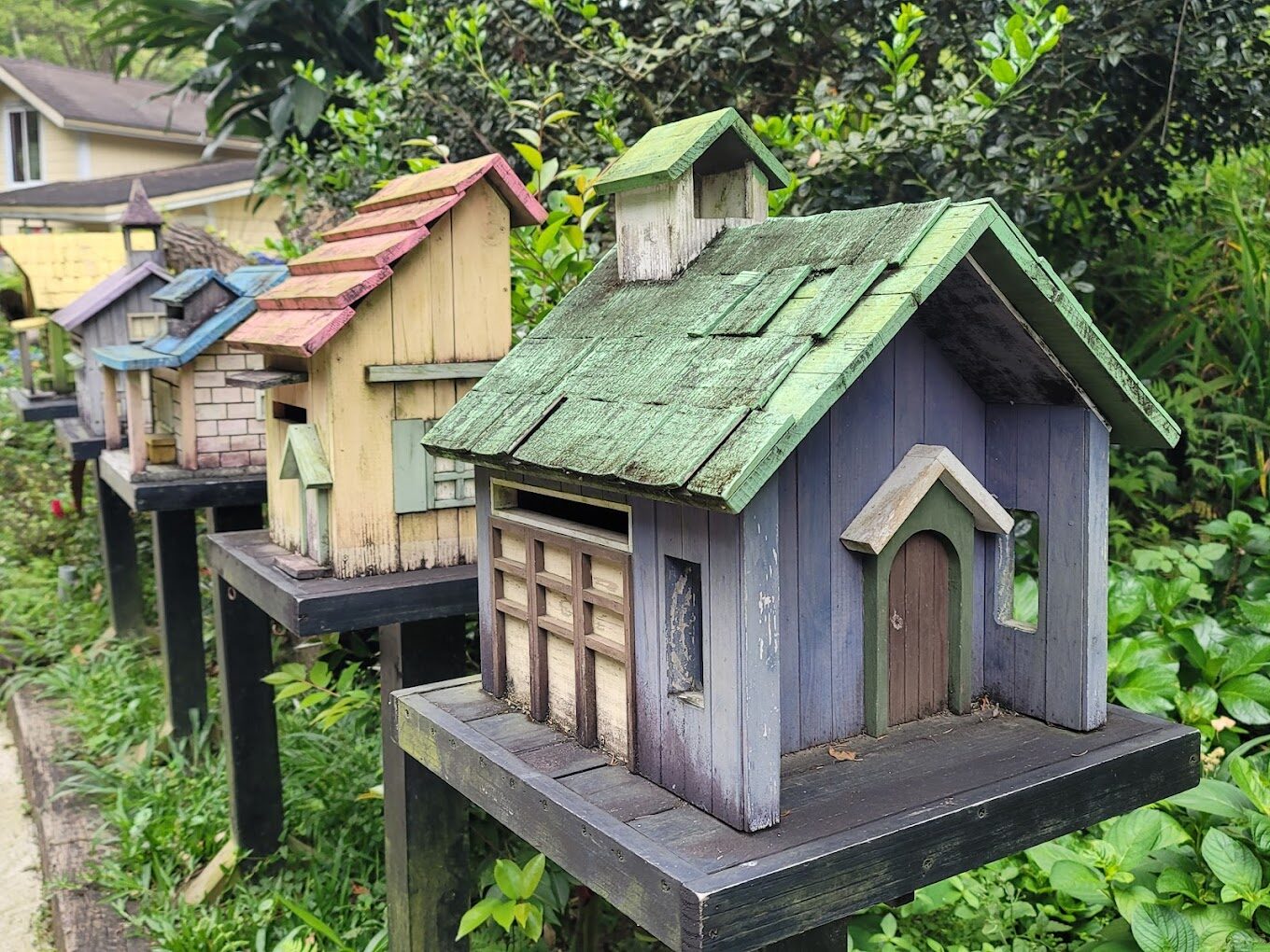 【2025】不得錯過的薰衣草森林新竹尖石店｜5大迷人特色揭秘