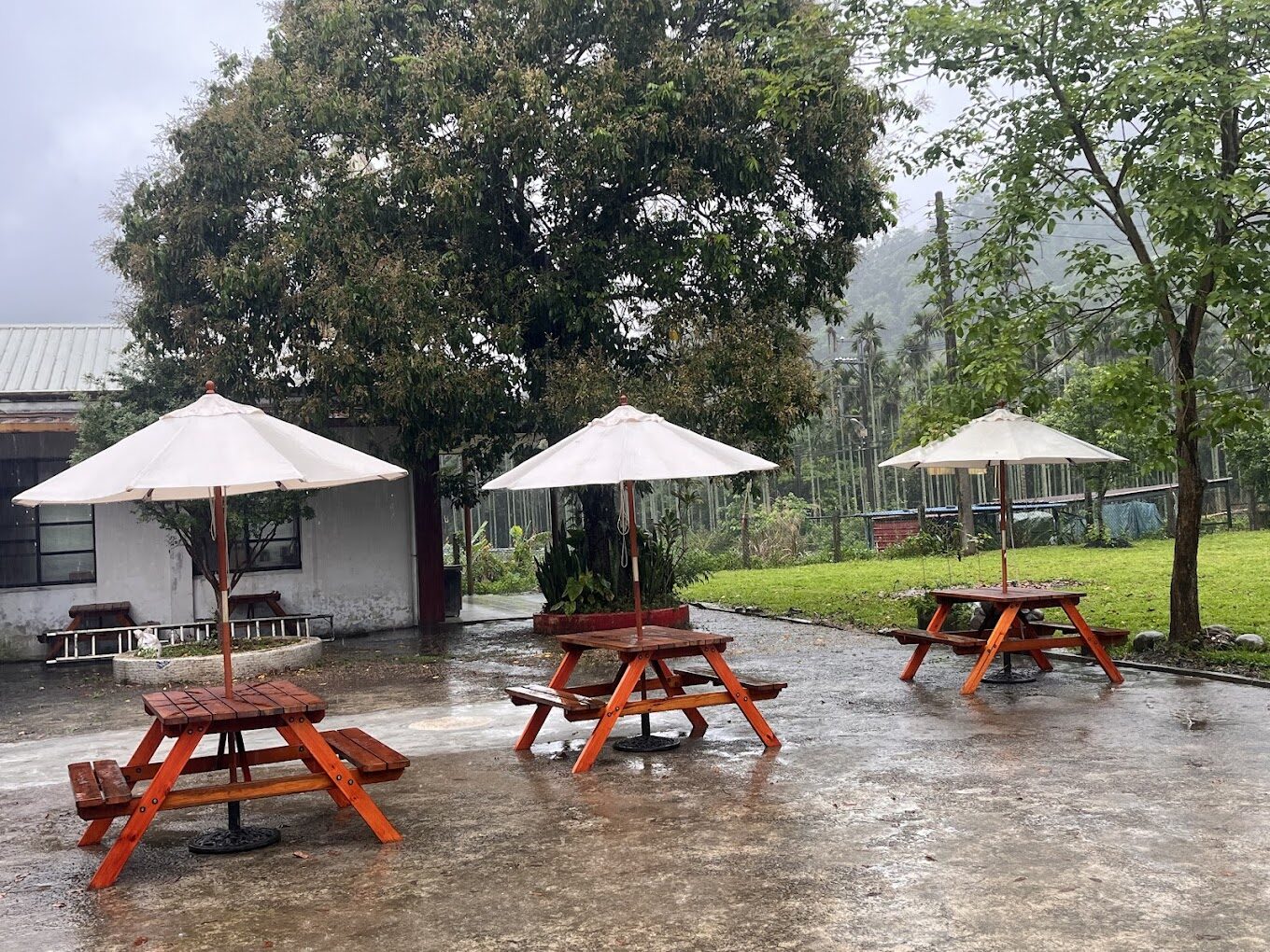 新竹秘境：你從未聽說過的探索景點