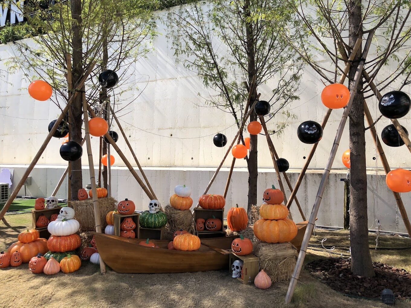 【2025】埔里景點推薦｜避開遊客潮的秘境之旅