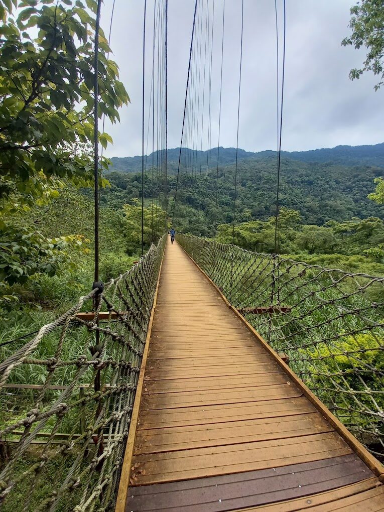 2025司馬庫斯旅遊指南：必訪景點與當地美食推薦